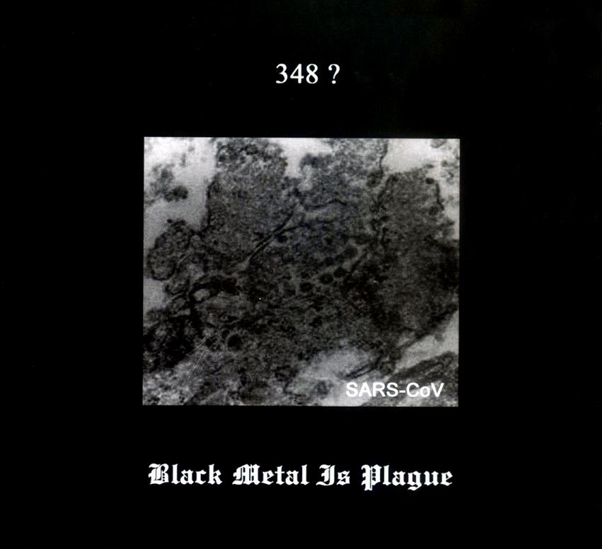 348? Black Metal Is Plague split disc