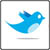 twitter twitter